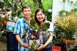 Người Sài Gòn mở 'Shop 0đ', lan tỏa thú vui trồng cây