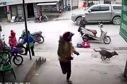 Khoảnh khắc xe ben trôi dốc khiến người dân hoảng sợ bỏ chạy