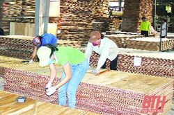 Huyện Thường Xuân: Giá trị sản xuất lâm nghiệp ước đạt trên 270 tỷ đồng