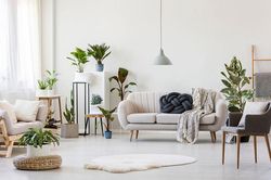 Trang trí phòng khách chuẩn phong thủy đón năm Tân Sửu tài lộc thịnh vượng, gia đạo ấm êm