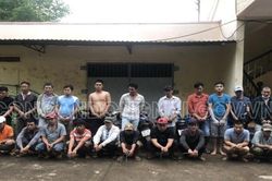 Bắt 22 con bạc đang đá gà trong vườn điều ở Đồng Nai