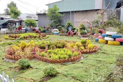 Mô hình vườn hoa thanh niên – biến bãi rác thành vườn hoa