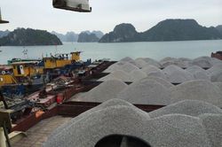 Ách tắc hàng hóa tại cảng Cẩm Phả: Hàng loạt doanh nghiệp cầu cứu Chính phủ