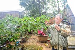 Ông trưởng làng tận tụy với dân