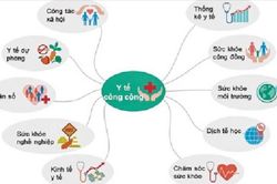 Những điều chưa biết về Y tế công cộng - khối ngành y dược
