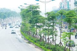 Hà Nội: Chất lượng không khí có xu hướng tốt dần lên