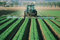 Bộ TN&MT chuyển hơn 230.000 ha đất nông nghiệp sang phục vụ các dự án kinh tế