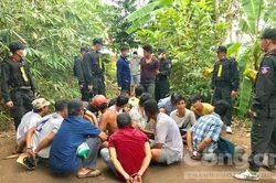 Đột kích trường gà canh giữ nhiều lớp, bắt 25 đối tượng
