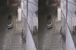 Clip: Tình huống không tin nổi khi chàng trai ngã khỏi xe lăn