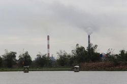 Cua da về theo gió Bắc