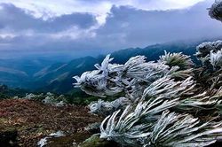 Hút khách du lịch với một 'Châu Âu trên đỉnh Mẫu Sơn'