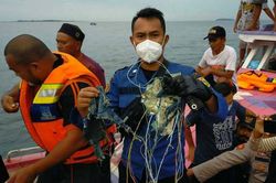 Vụ rơi máy bay ở Indonesia: Không có dấu hiệu của người sống sót