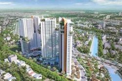 Cổ phiếu Thuduc House lao dốc sau khi bị truy thu thuế