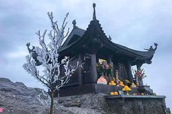 Băng giá phủ trắng đỉnh Yên Tử
