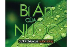 Sách hay: 'Bí ẩn của nước' - sự kỳ diệu của nước sống