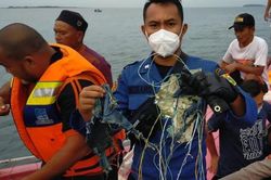 Máy bay Indonesia giảm độ cao 3.000m trong 1 phút, rơi xuống Vịnh Jakarta