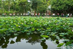 Liên kết chặt chẽ chương trình hợp tác giữa 2 địa phương Nghệ An - TP Hồ Chí Minh trong phát triển văn hóa - thể thao