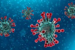 Phát hiện biến chủng mới của virus SARS-CoV-2 tại Nhật Bản