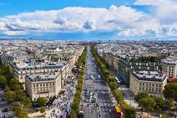 Thủ đô Paris triển khai dự án 'phủ xanh' đại lộ Champs-Elysees nổi tiếng