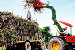 Ngành Mía đường 'hồi sức' sau khi áp dụng biện pháp phòng vệ thương mại với hàng Thái Lan