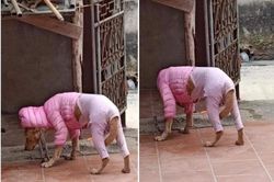 Rét đậm, chó mèo diện áo ấm 'style con nhà nghèo' khiến dân mạng cười lăn