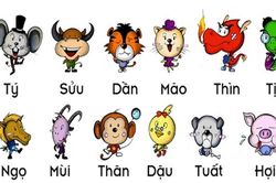 Dự đoán ngày 13/1/2021 cho 12 con giáp: Dần thất bát, Ngọ dính thị phi