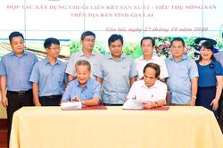 Xây dựng chuỗi liên kết trong sản xuất nông nghiệp: 'Chìa khóa' phát triển bền vững