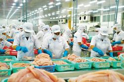 Cần Thơ hỗ trợ doanh nghiệp khôi phục sản xuất sau đại dịch