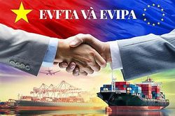 Tận dụng tốt cơ hội từ các FTA, xuất nhập khẩu thành công vượt bậc