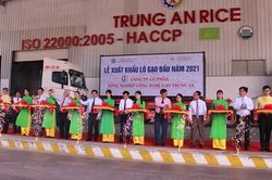 Lô gạo xuất khẩu đầu năm 2021 đạt 1,6 nghìn tấn