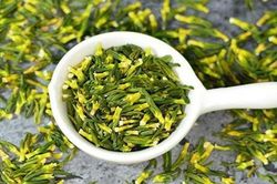 Những người không nên dùng tâm sen