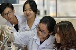 Bộ GD&ĐT thưởng gần 11 tỷ đồng cho các bài đăng trên các tạp chí quốc tế uy tín