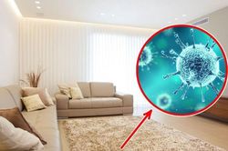 Những thói quen độc hại đang âm thầm gây ô nhiễm cho ngôi nhà bạn