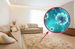 9 vật dụng trong nhà âm thầm gây ô nhiễm