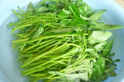 Ăn rau muống mùa đông sơ chế ra sao để đảm bảo sạch sẽ, an toàn