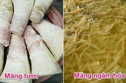 Mẹo phân biệt măng tươi tự nhiên và măng tươi ngâm hóa chất
