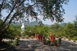 Khóa tu dành cho chư Ni trẻ nhân Tết Tân Sửu tại thiền viện Pháp Sơn