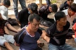 Trường gà quy mô lớn trong rừng cây bùn lầy bị triệt phá