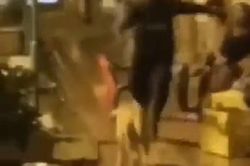 Clip: Người đàn ông bị 'nghiệp quất' khi đá chó