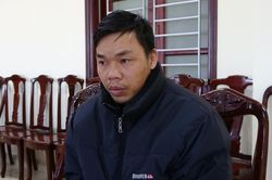 'Đạo chích' mê lan