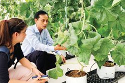 TPHCM: Xử lý nhiều điểm nóng môi trường và đất đai