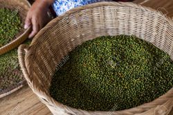 Giá cà phê hôm nay 16/1: Tín hiệu lạc quan cho thị trường cà phê, Giá hồ tiêu xuất khẩu nhiều khả năng giảm