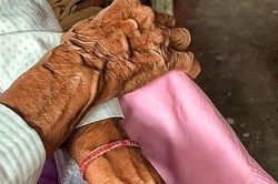Cụ bà thiểu năng trí tuệ 70 tuổi bị hiếp dâm ngay tại nhà, chi tiết vụ việc gây phẫn nộ