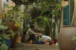 MC Trấn Thành lại làm 'Thành Cry', bật khóc vì một bài hát viết về cha