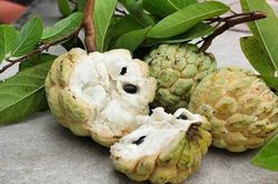 Những đại kỵ khi ăn na bạn phải ghi nhớ