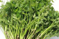 Những người tuyệt đối không được ăn rau cần