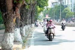 Chất lượng không khí Hà Nội đã cải thiện sau nhiều ngày ô nhiễm