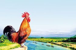 Nơi 'một con gà gáy ba nước cùng nghe' ở vùng nào của nước ta?