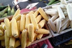 Vợ chồng trẻ Hà Nội vào Sài Gòn mở vựa buôn ngô, thu 30 triệu/tháng