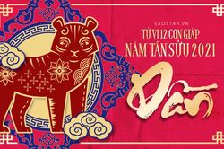 Xem tử vi tuổi Dần năm 2021: Công việc gặp nhiều khó khăn, vận đào hoa tăng cao